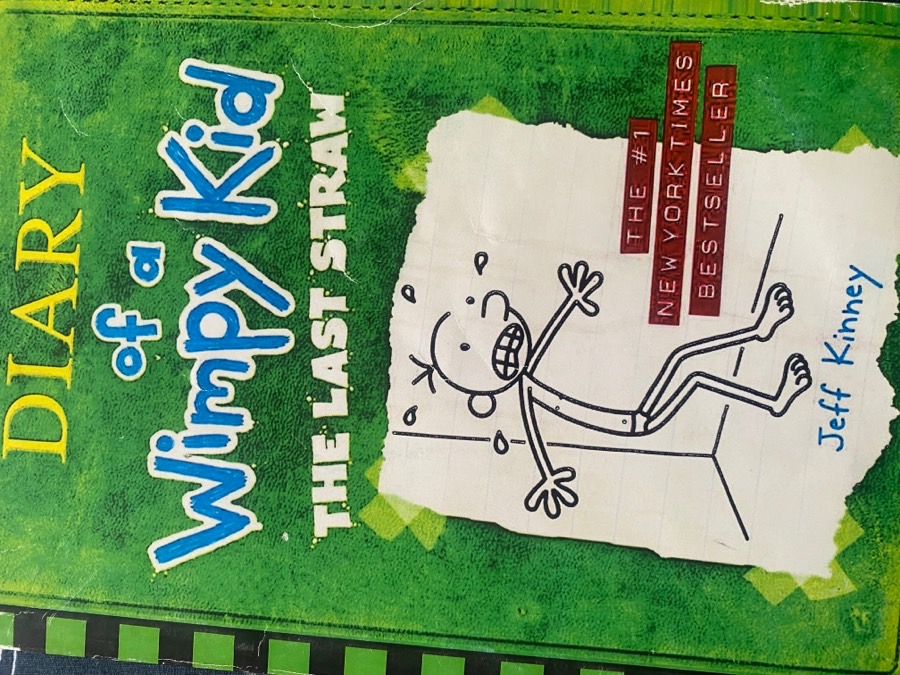 Diary of a wimpy kid, the last straw