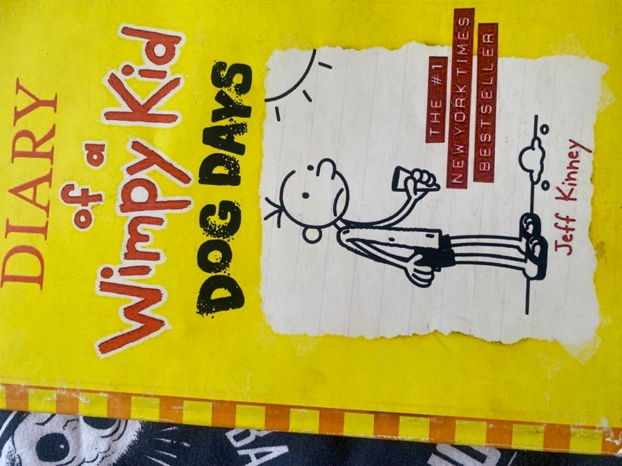 diary-of-a-wimpy-kid-dog-days