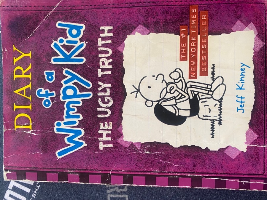 diary-of-a-wimpy-kid,-the-ugly-truth